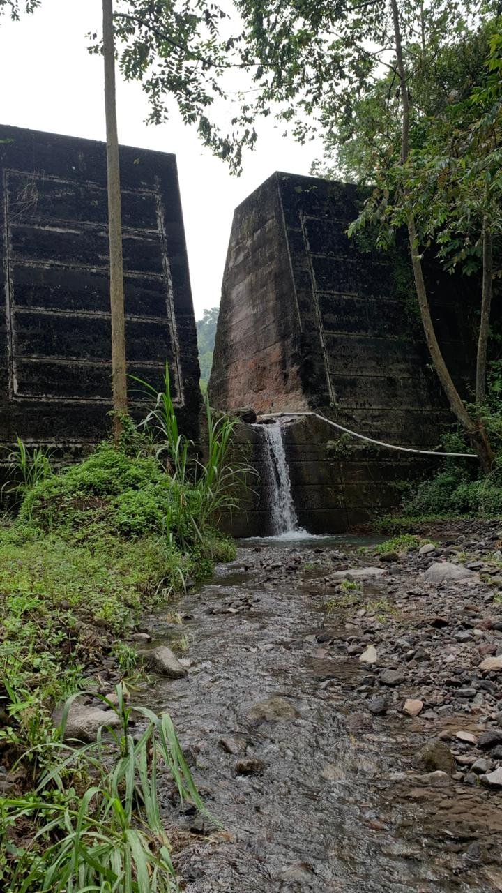 the Allabun 5 Km Fun Trekking